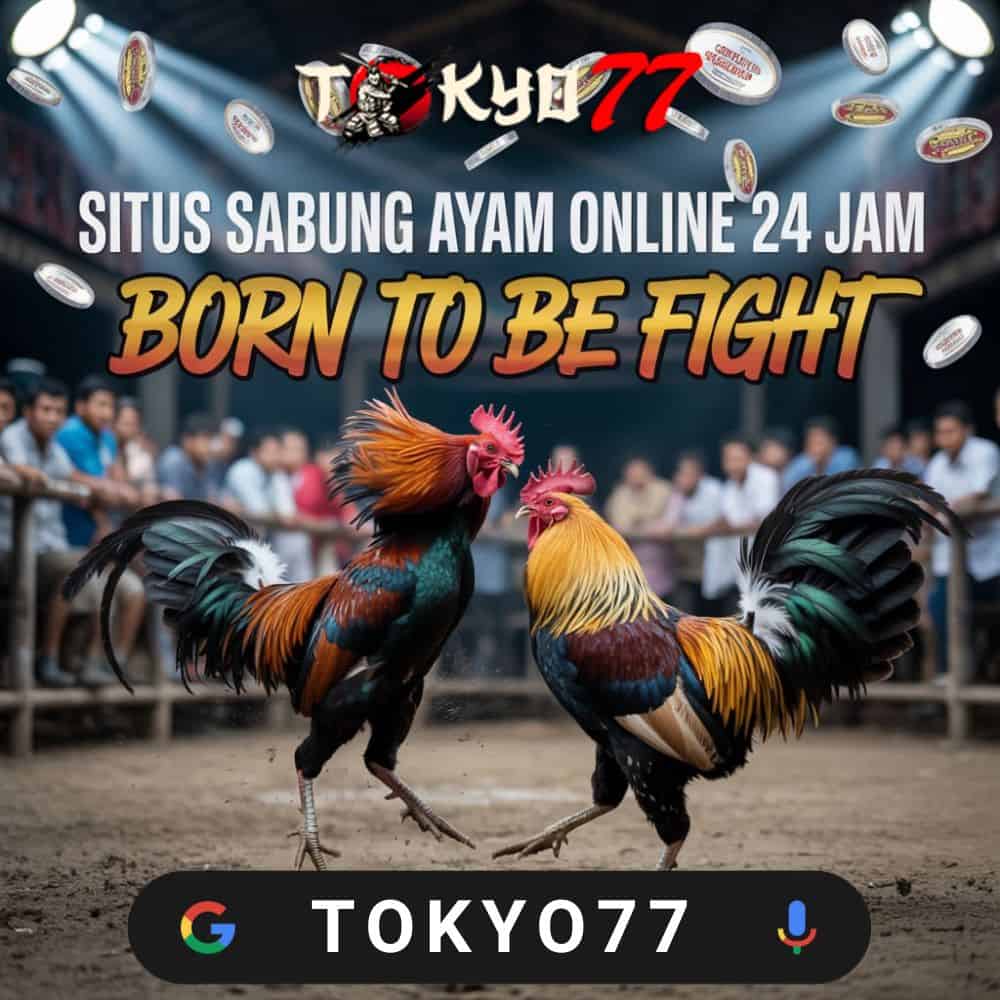 SV388 Arena Review: Pure Action, Real Digital Excitement